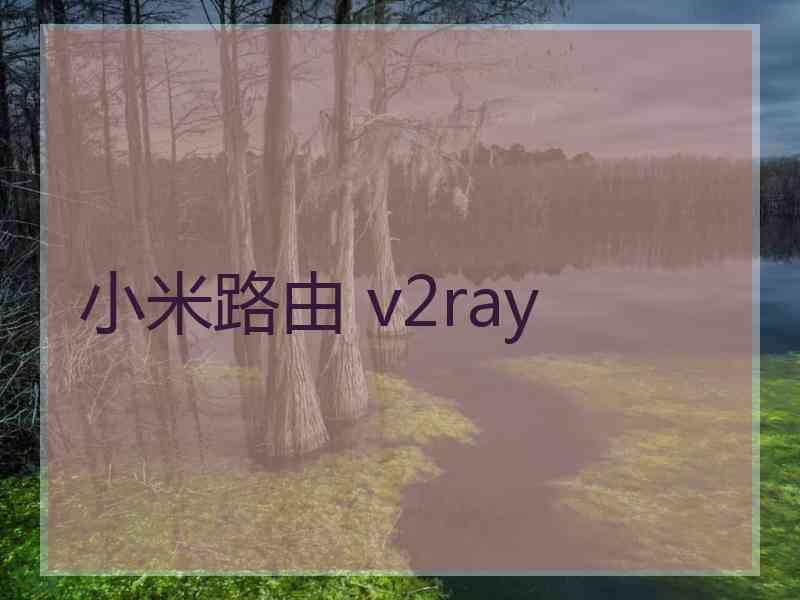 小米路由 v2ray