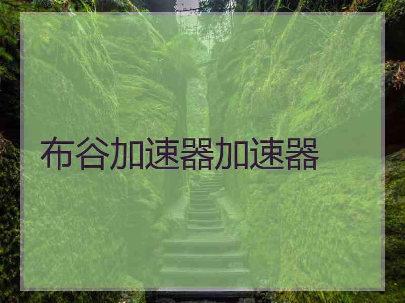 布谷加速器加速器