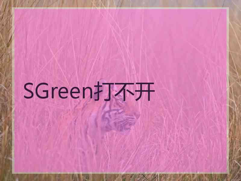 SGreen打不开