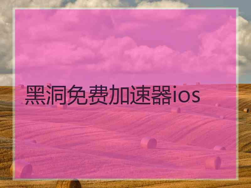 黑洞免费加速器ios