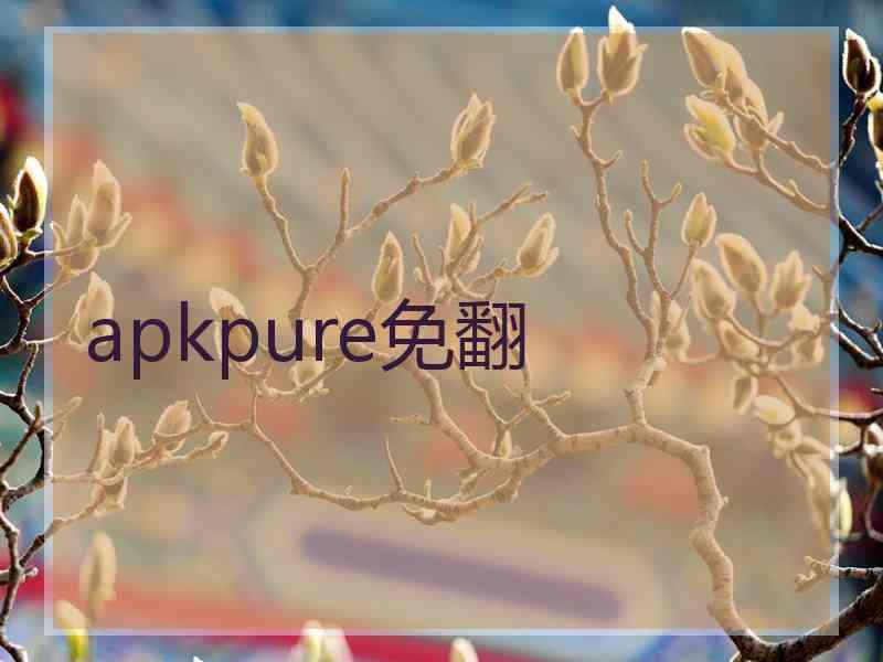 apkpure免翻