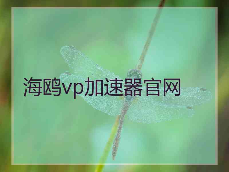 海鸥vp加速器官网