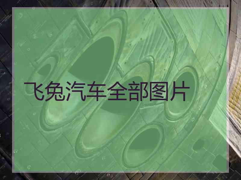 飞兔汽车全部图片