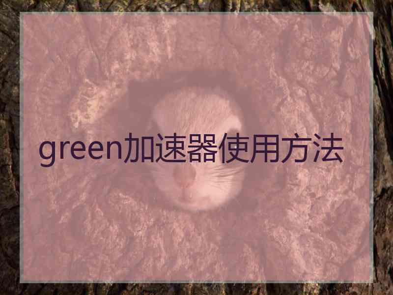 green加速器使用方法