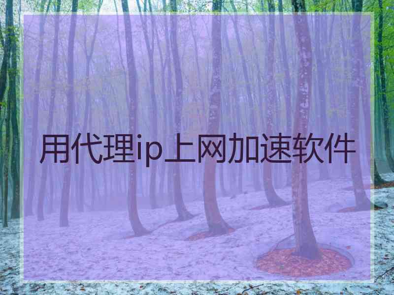 用代理ip上网加速软件
