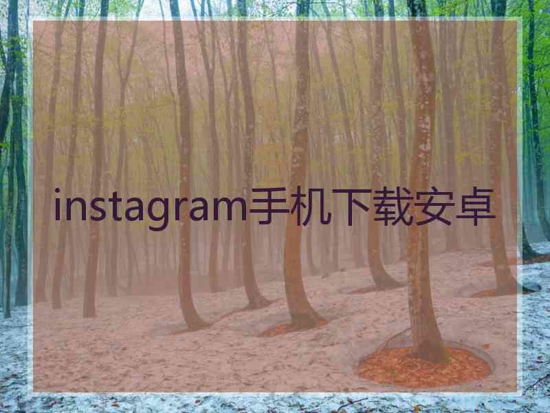 instagram手机下载安卓