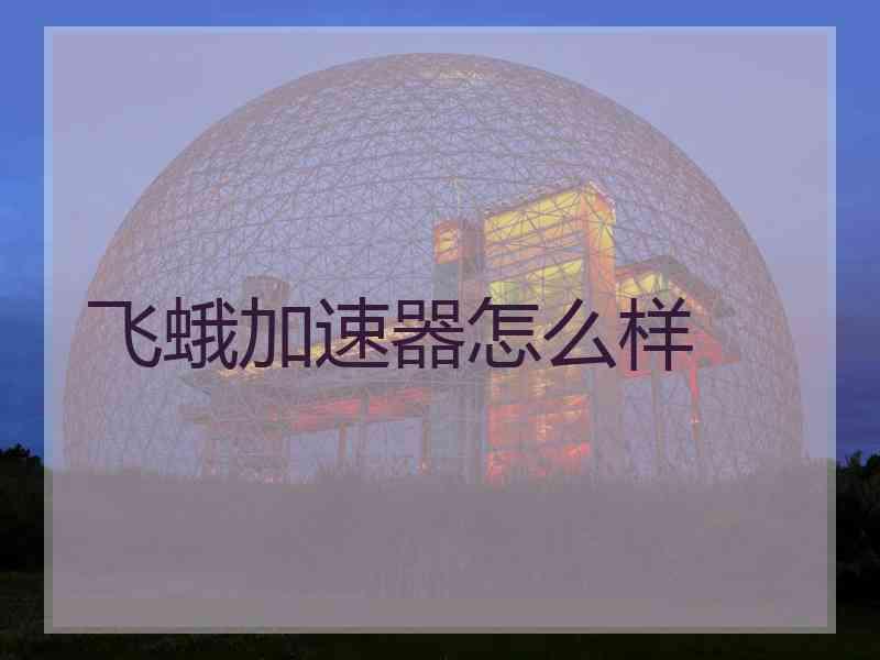 飞蛾加速器怎么样