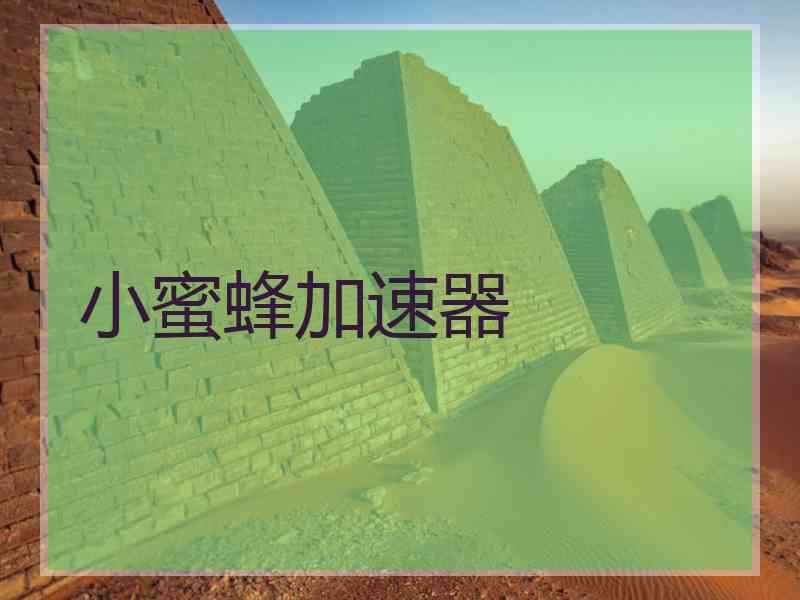 小蜜蜂加速器