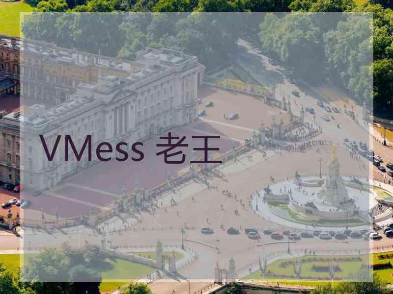 VMess 老王