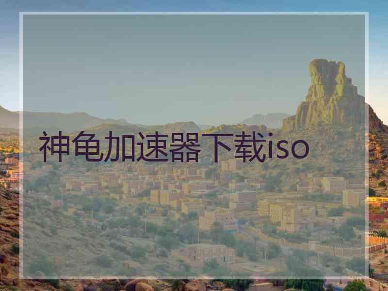 神龟加速器下载iso