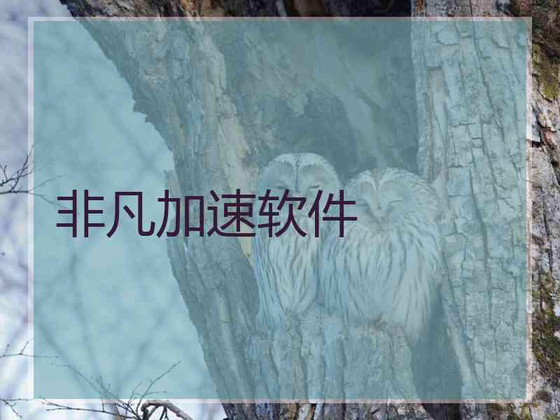非凡加速软件