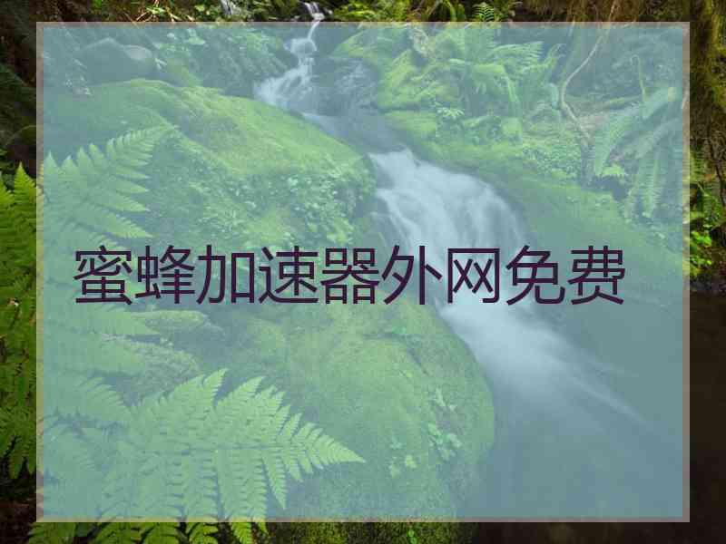 蜜蜂加速器外网免费