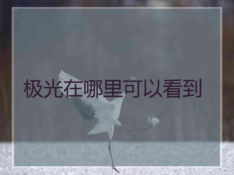 极光在哪里可以看到