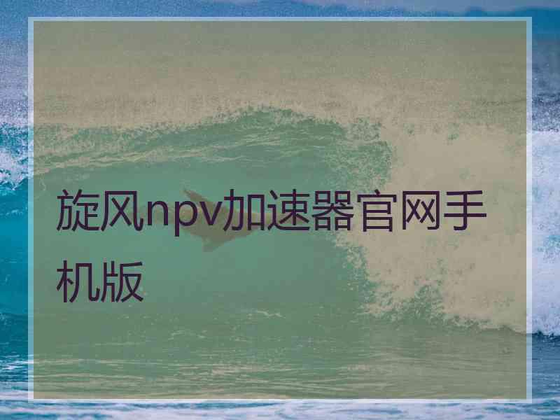 旋风npv加速器官网手机版
