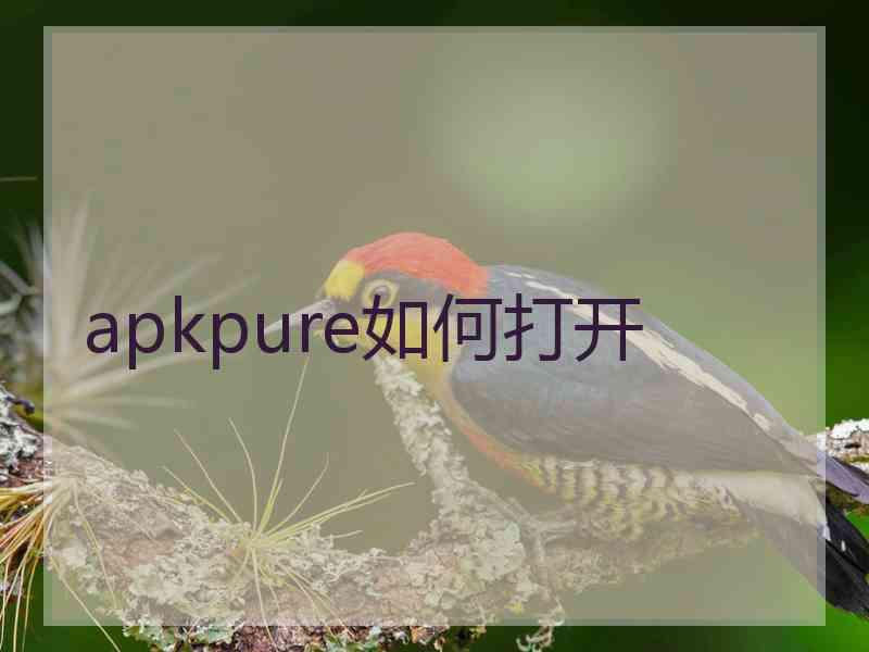 apkpure如何打开