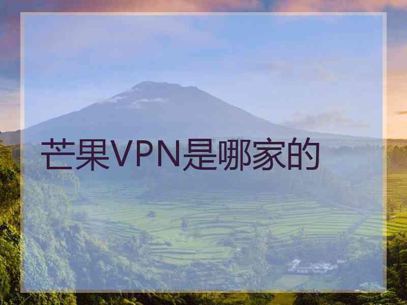 芒果VPN是哪家的