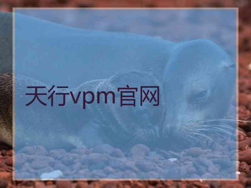 天行vpm官网