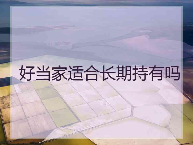 好当家适合长期持有吗