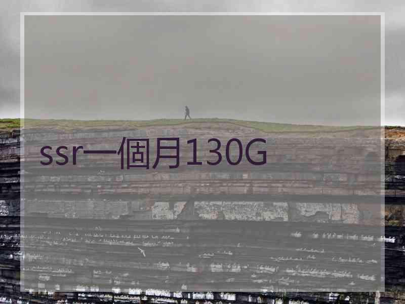 ssr一個月130G