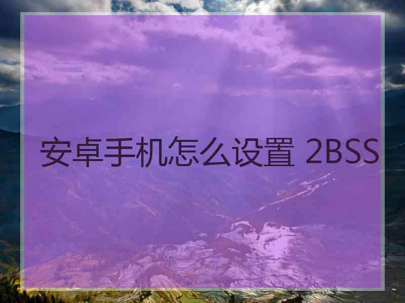 安卓手机怎么设置 2BSS