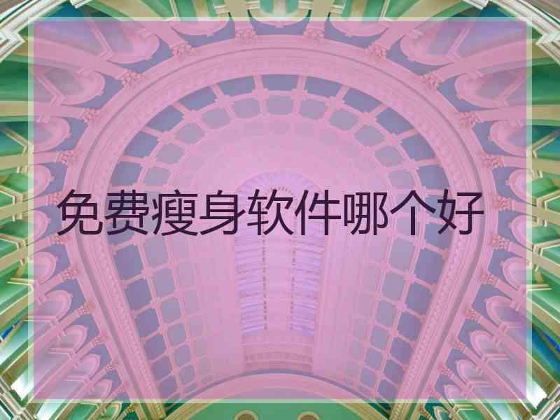免费瘦身软件哪个好