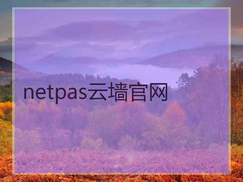 netpas云墙官网