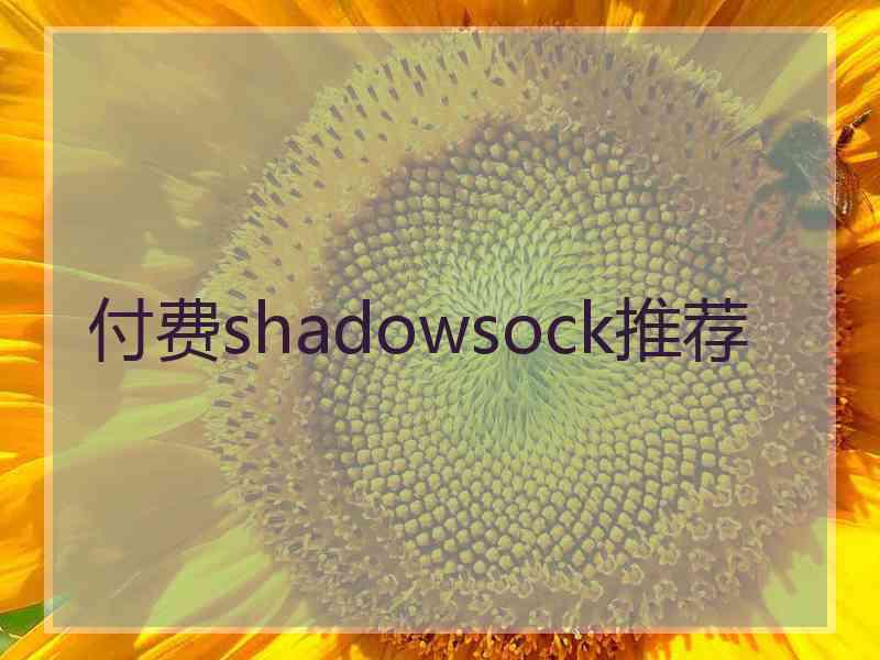付费shadowsock推荐