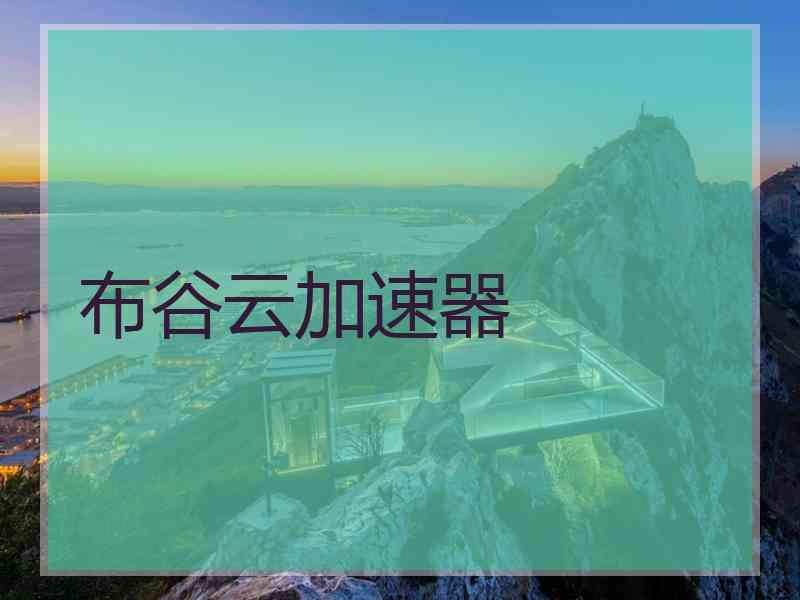 布谷云加速器