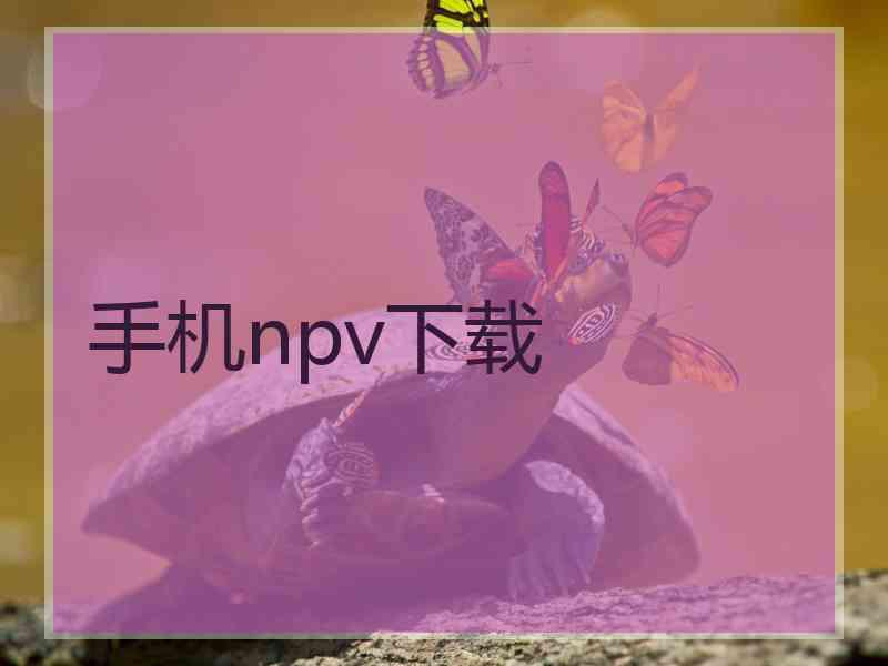 手机npv下载