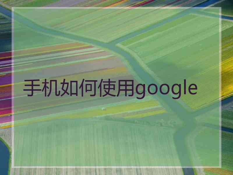 手机如何使用google