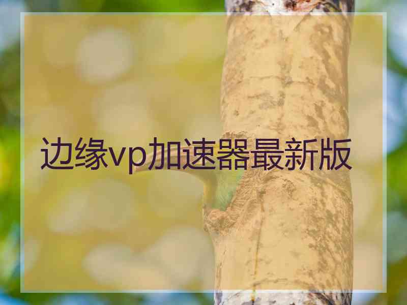边缘vp加速器最新版