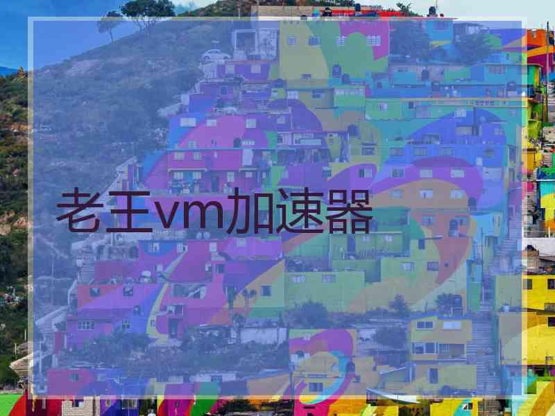 老王vm加速器