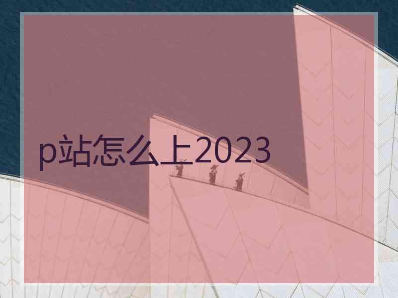 p站怎么上2023