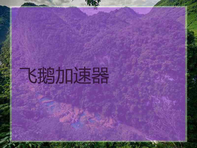 飞鹅加速器