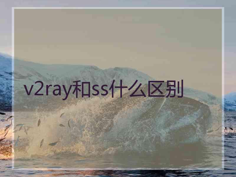 v2ray和ss什么区别