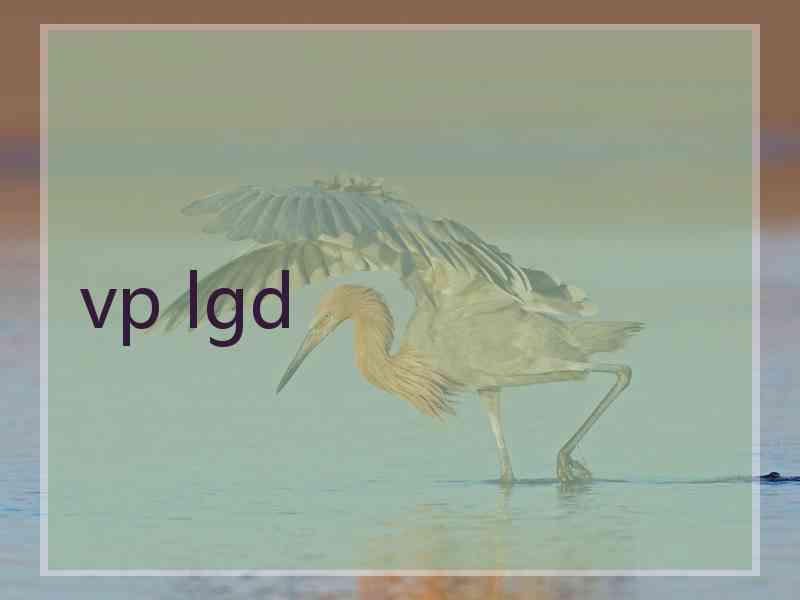 vp lgd