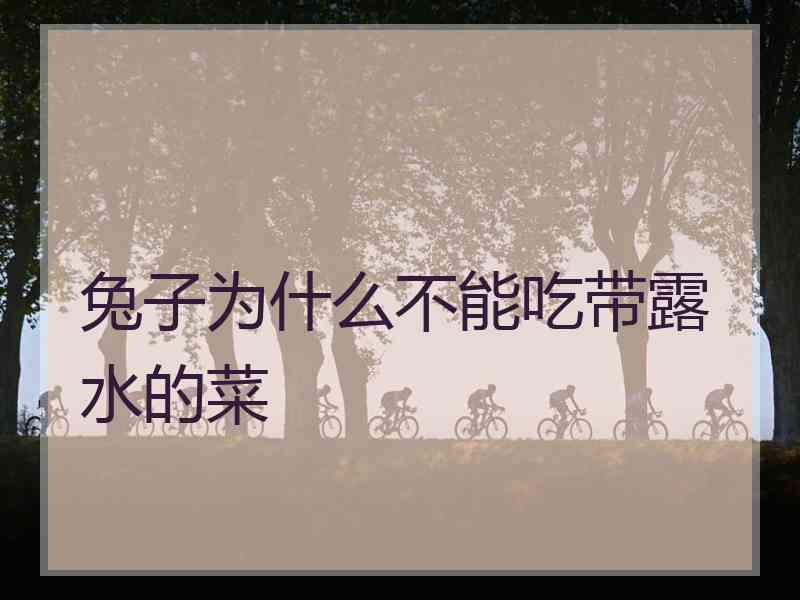 兔子为什么不能吃带露水的菜