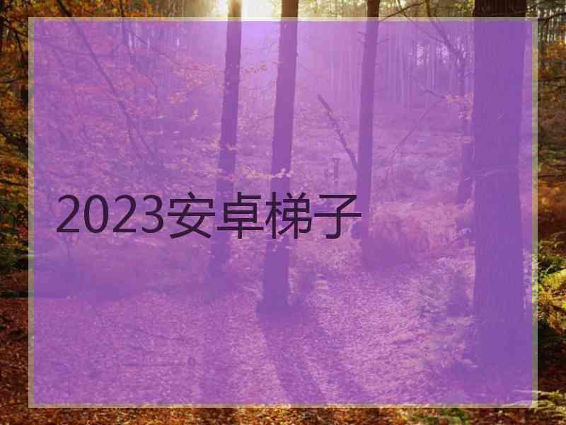 2023安卓梯子