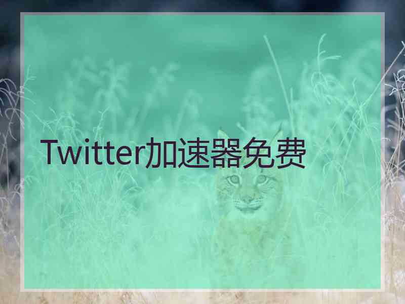 Twitter加速器免费