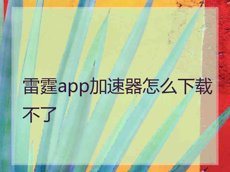 雷霆app加速器怎么下载不了