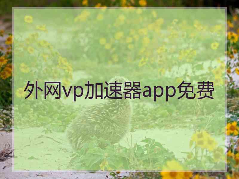 外网vp加速器app免费