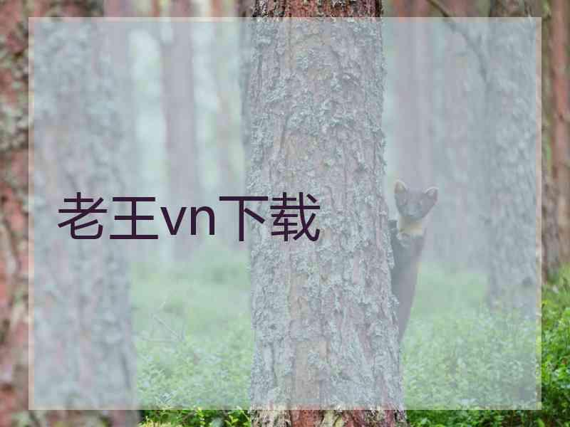 老王vn下载