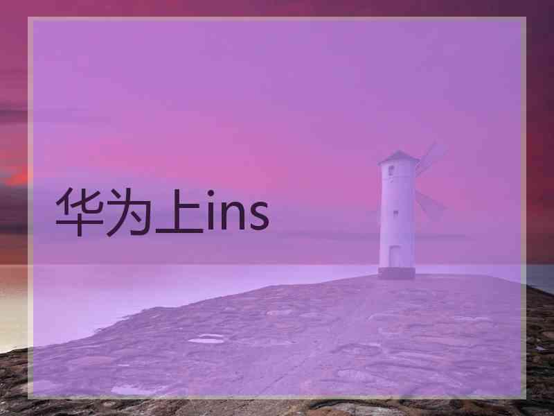 华为上ins