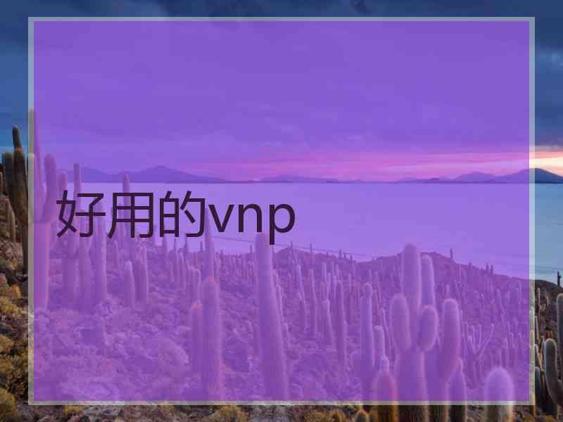 好用的vnp