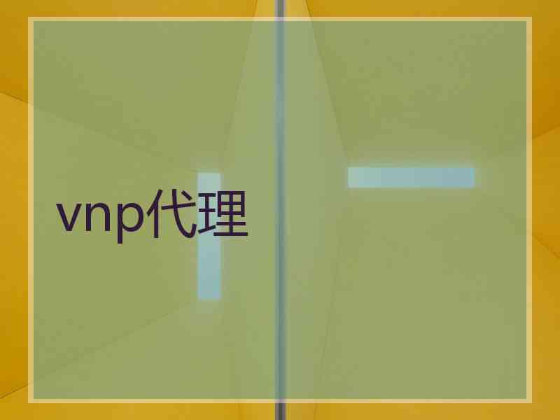 vnp代理