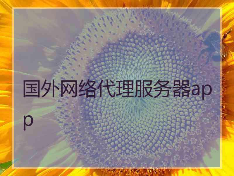国外网络代理服务器app
