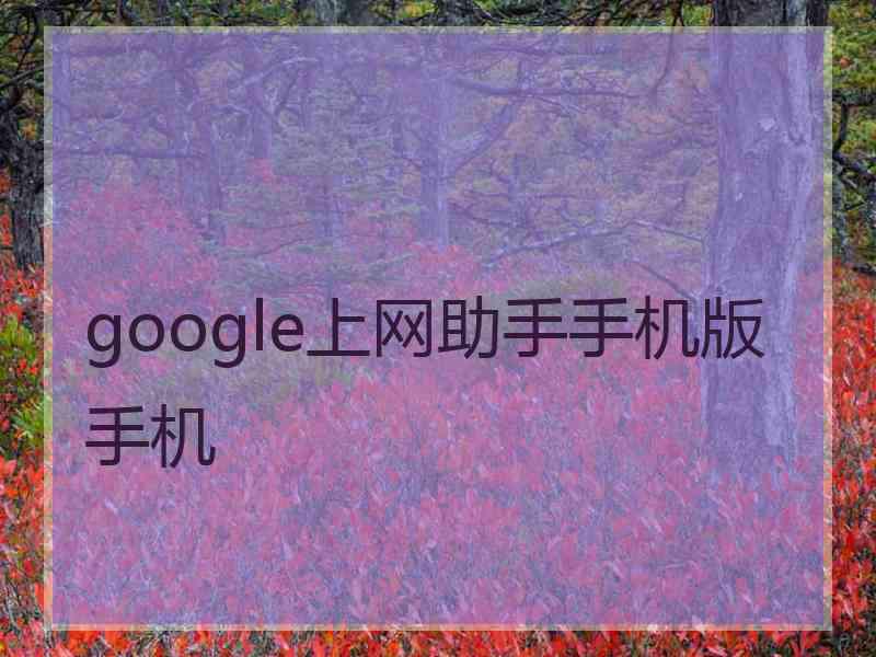 google上网助手手机版手机