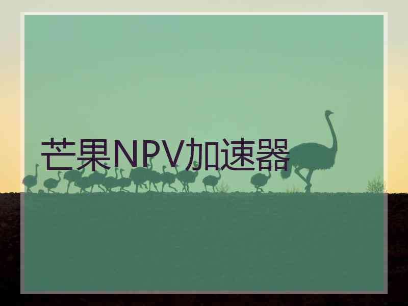 芒果NPV加速器