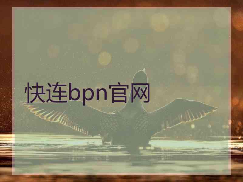 快连bpn官网