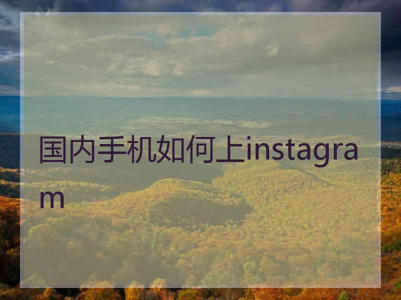 国内手机如何上instagram